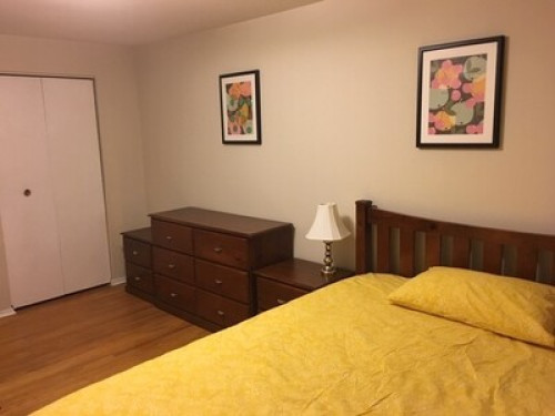 Quiet garden facing room