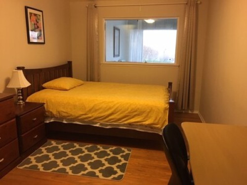 Quiet garden facing room  - Gallery -  5
