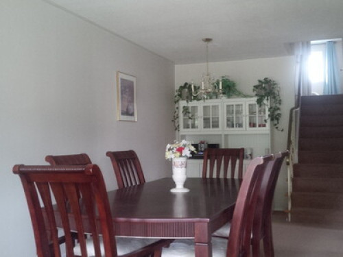 Quiet garden facing room