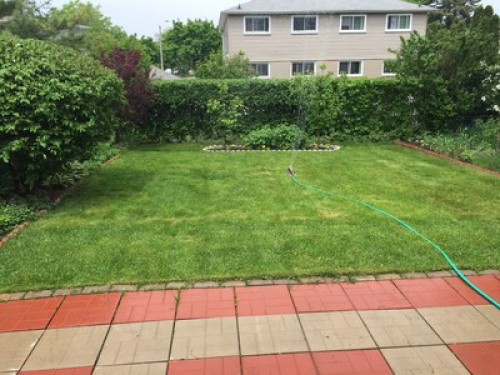 Quiet garden facing room