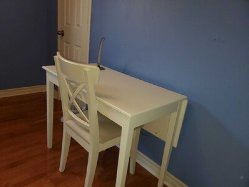Beautiful Private Room Brampton!  - Gallery - 8