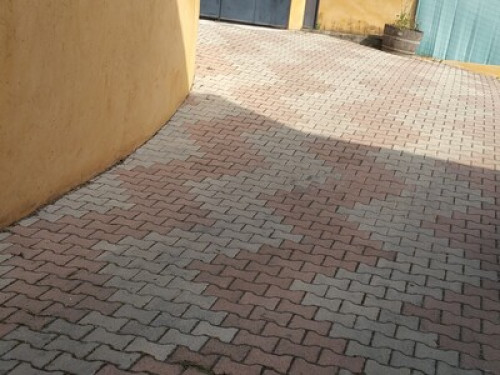 Happy caring hosts Nice