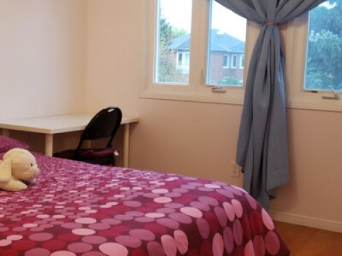 Homestay for international students - Gallery - 14