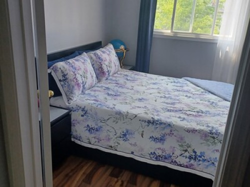 Clean quite room in house for rent - Gallery - 7