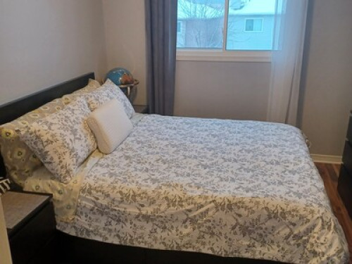 Clean quite room in house for rent - Gallery - 12