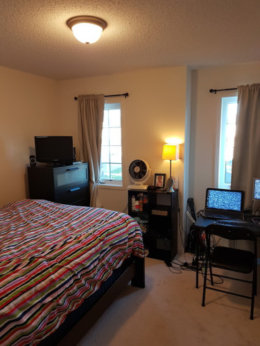 Gorgeous 1 bedroom shared kitchen