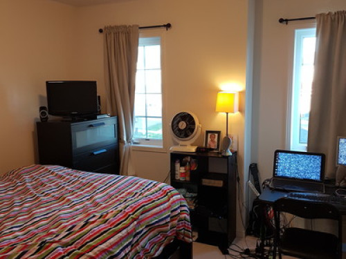 Gorgeous 1 bedroom shared kitchen