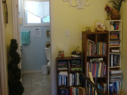 Sunshine room - Gallery - 7
