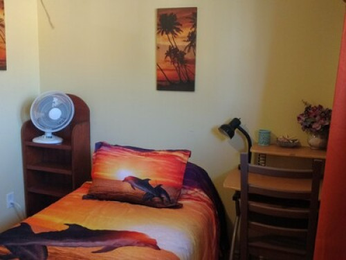 Sunshine room - Gallery - 6
