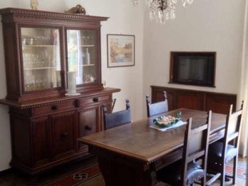 Quiet home loves reading