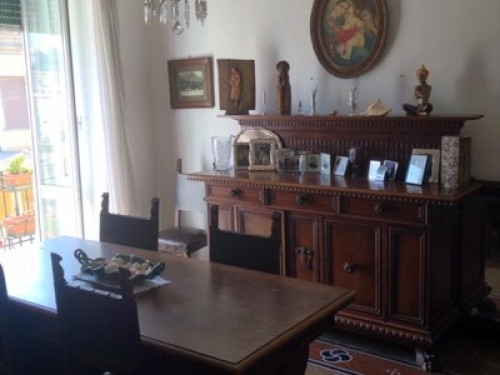 Quiet home loves reading