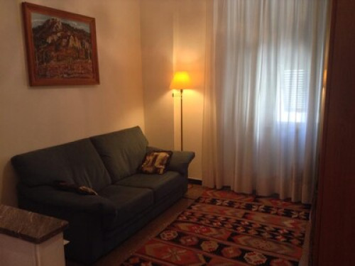 Quiet home loves reading