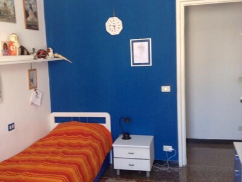 Quiet home loves reading