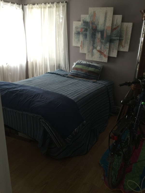  Large One Bedroom(Full Room)  -  Clean very quiet condo  - Gallery -  1