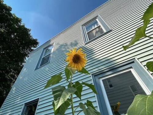 Rooms in Halifax - Gallery - 13