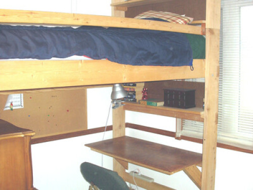 Bloomington friendly host