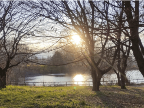 Tranquility in the city - Gallery - 13