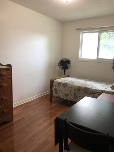 Fun & friendly ***ONLY FEMALES GUESTS*** - Gallery - 14