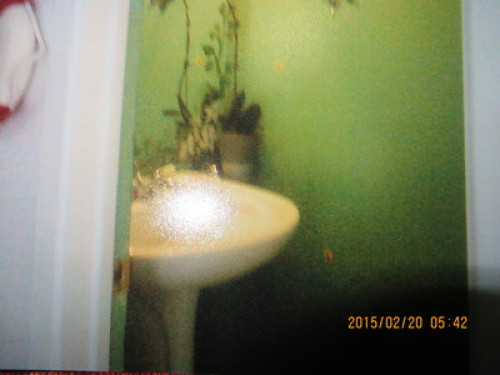 Fun & friendly ***ONLY FEMALES GUESTS*** - Gallery - 7