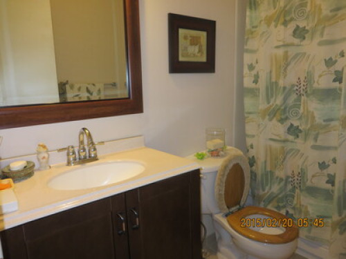 Fun & friendly ***ONLY FEMALES GUESTS*** - Gallery - 6