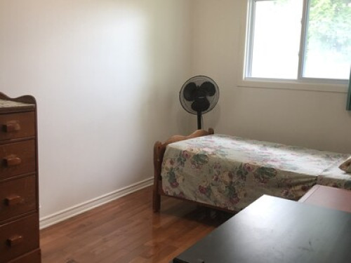 Fun & friendly ***ONLY FEMALES GUESTS*** - Gallery - 12