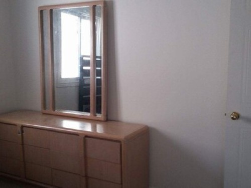 People and pet friendly home