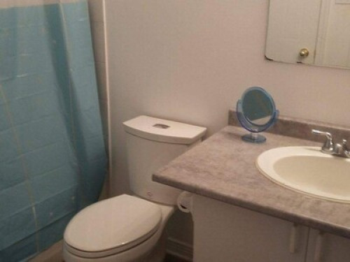 People and pet friendly home