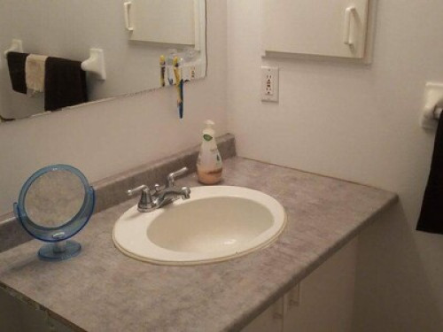 People and pet friendly home