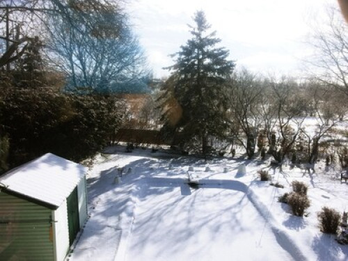 Homestay with an ESL teacher - Gallery - 2