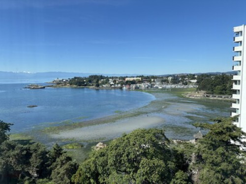 Victoria Ocean View Retreat - Gallery - 13
