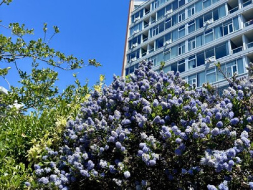 Victoria Ocean View Retreat - Gallery - 16