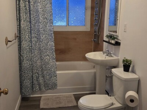 Best homestay in town  - Gallery - 14