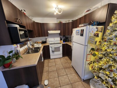 Best homestay in town  - Gallery - 26