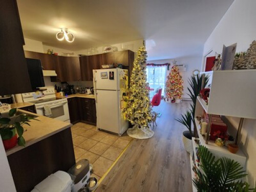 Best homestay in town  - Gallery - 25