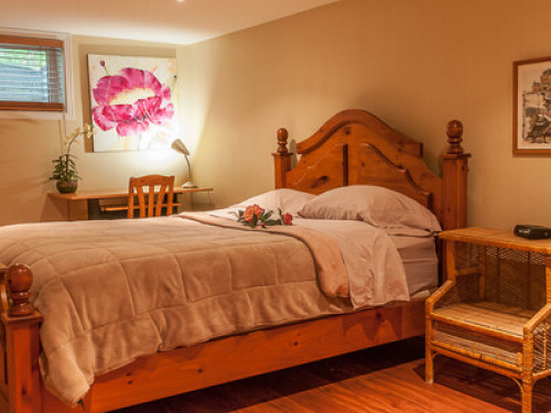 Best homestay in town 