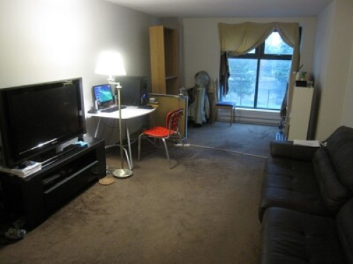 Large Room for Rent! Downtown Ottaw - Gallery - 6