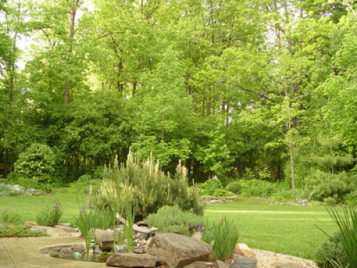 Family loving culture,music,outdoor - Gallery - 16
