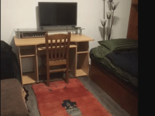 Private, room peaceful guest suite - Gallery - 10