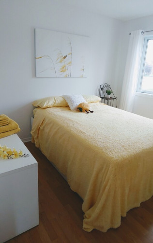 Beautiful room in modern condo - Gallery - 9