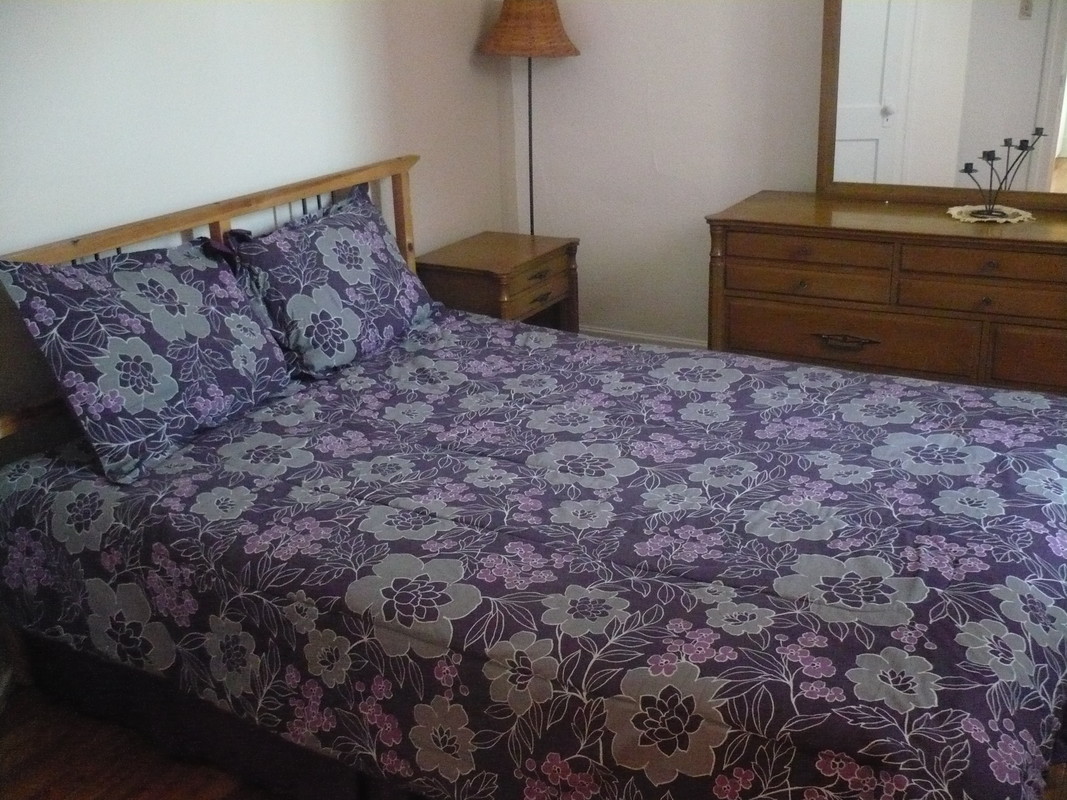 Mountain View 1(Single Bed) - 1