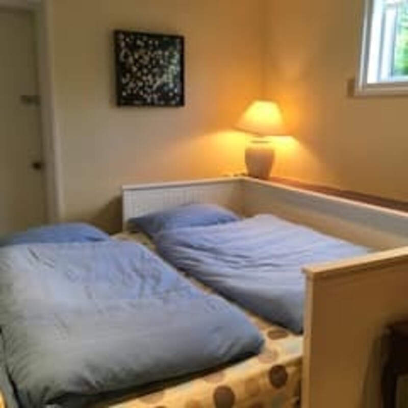  Renovated Basement(Single Bed)  -  Fun, active family  - Gallery -  1