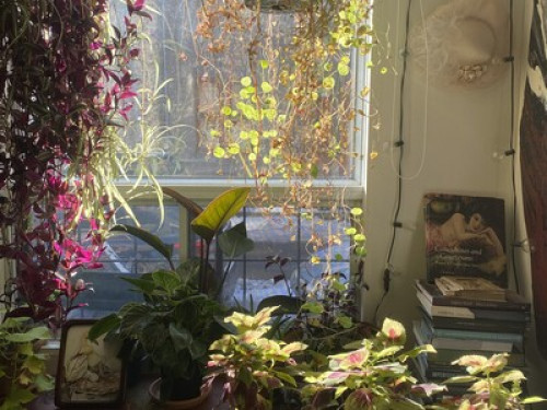 ⁛ Chambre dans un studio d'artistes - Gallery - 28