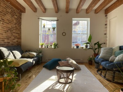 Cozy nest in the heart of Montreal 