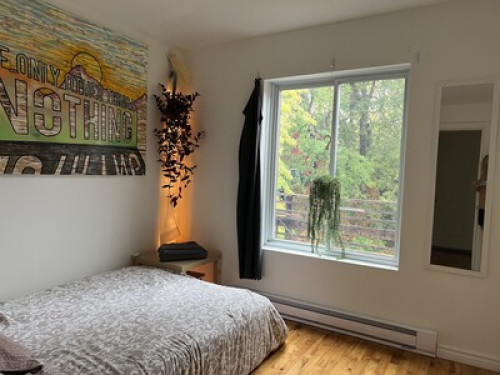 Cozy nest in the heart of Montreal   - Gallery -  5