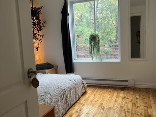 Cozy nest in the heart of Montreal 
