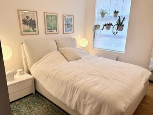 Study, Chill, Thrive - Gallery - 21