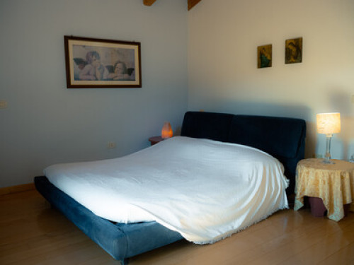 THE HOUSE IN THE WOODS - Gallery - 7
