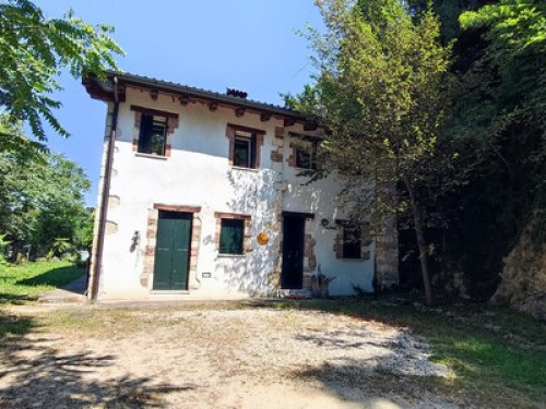 THE HOUSE IN THE WOODS