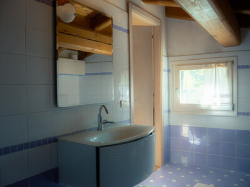 THE HOUSE IN THE WOODS