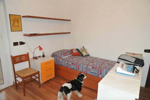 Appartamento in quartiere residenzi